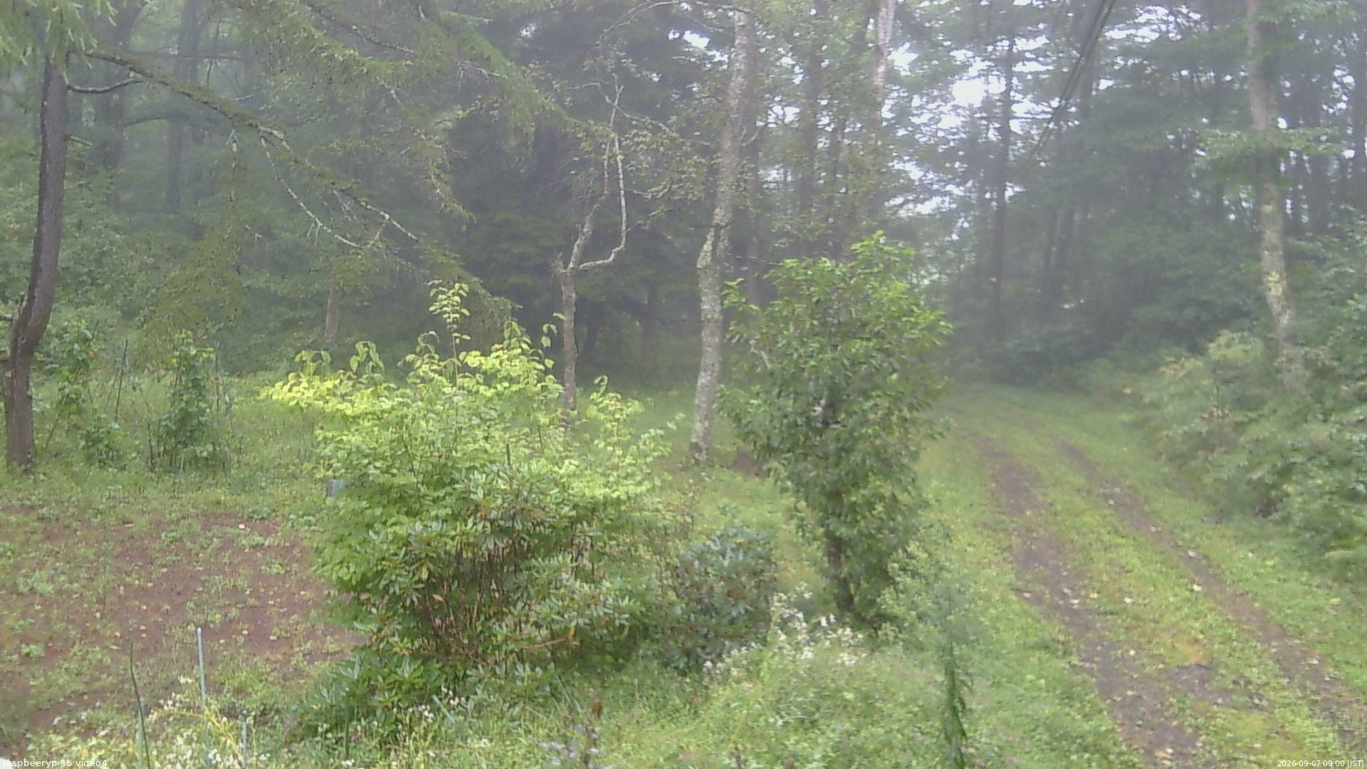 長野県菅平高原 ゆたか山荘 坂上 2026/09/07 09:00