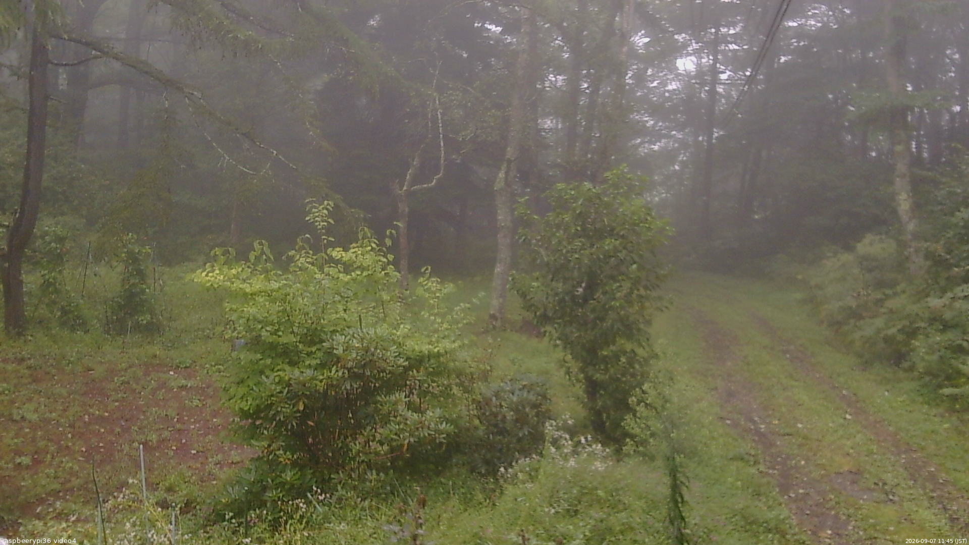 長野県菅平高原 ゆたか山荘 坂上 2026/09/07 11:45