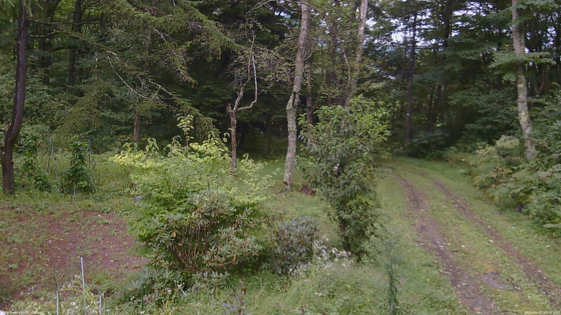 長野県菅平高原 ゆたか山荘 坂上 2026/09/07 15:15