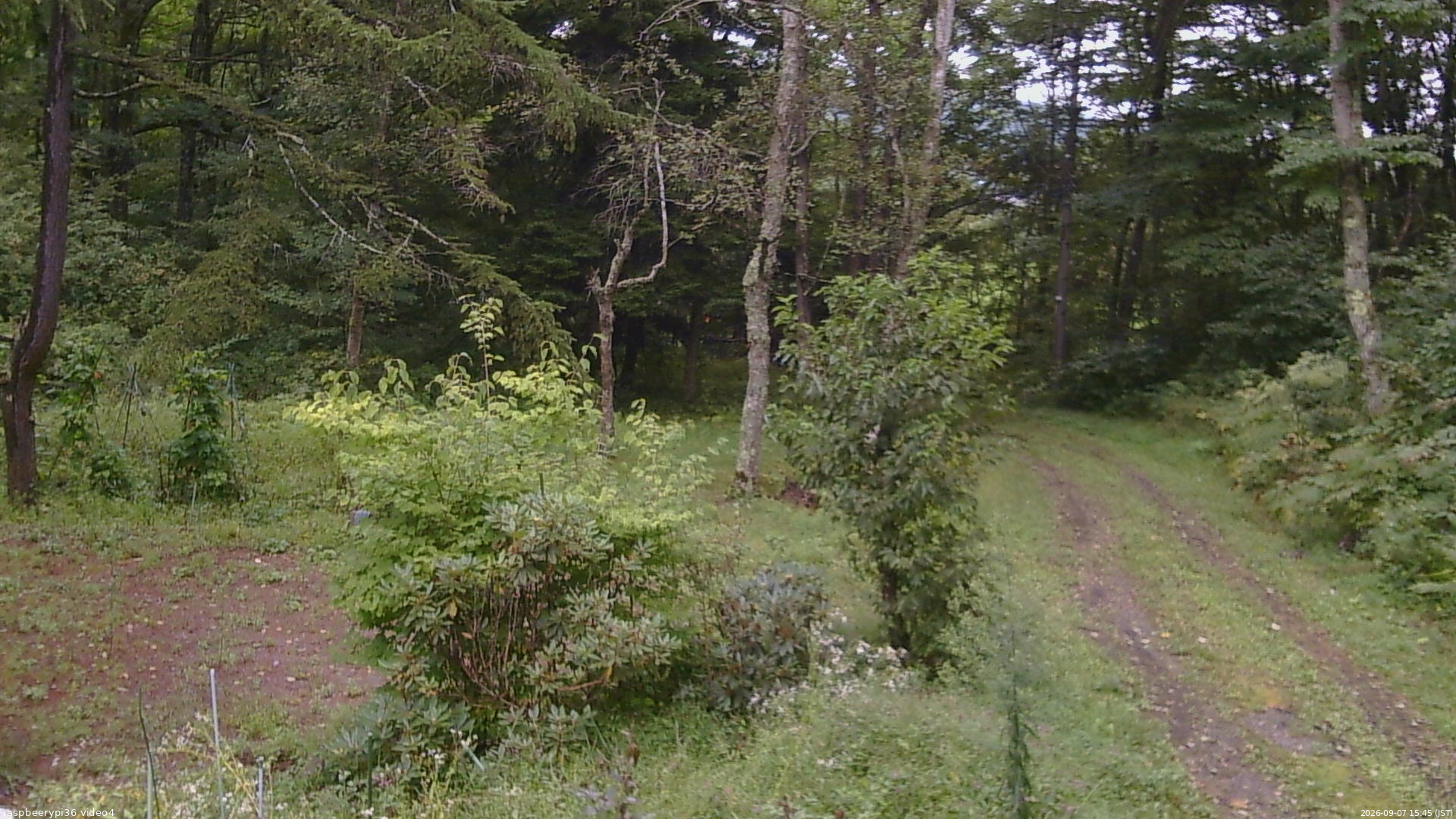 長野県菅平高原 ゆたか山荘 坂上 2026/09/07 15:45