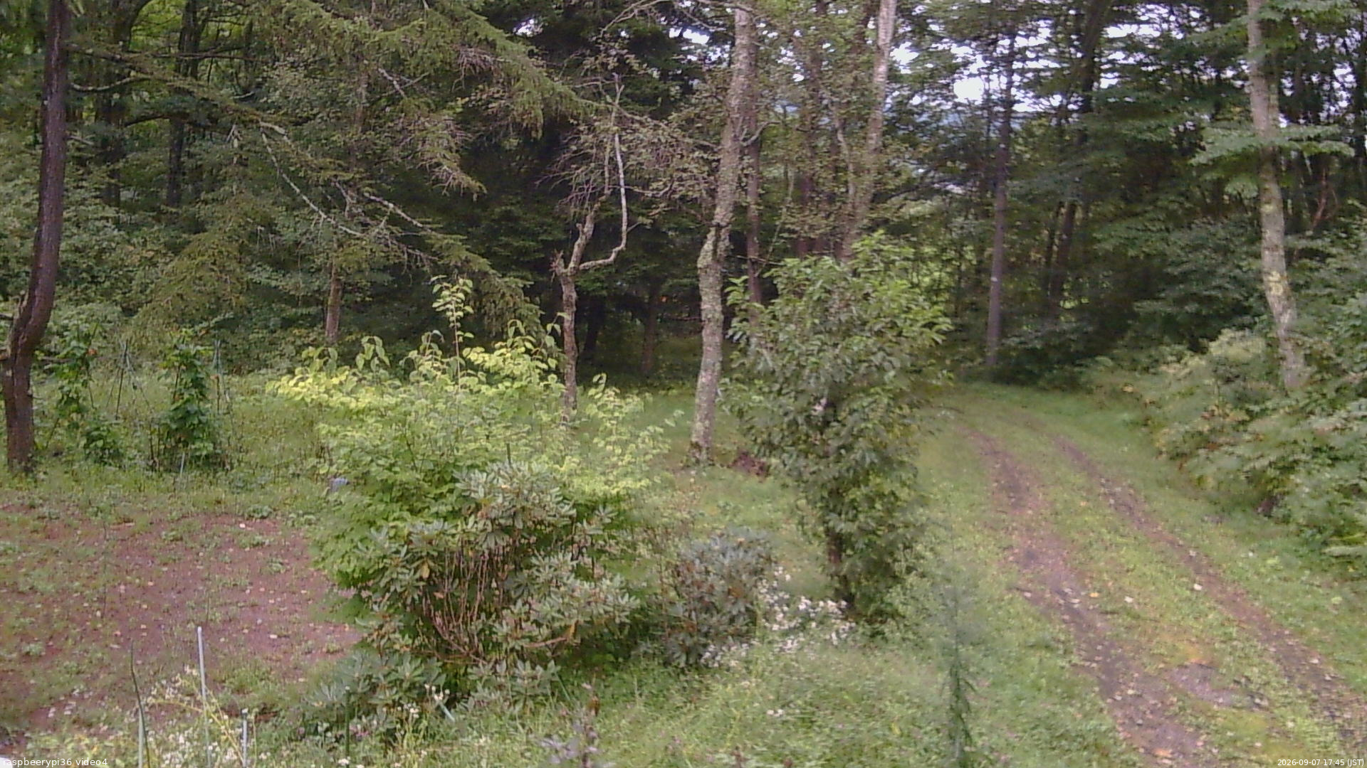 長野県菅平高原 ゆたか山荘 坂上 2026/09/07 17:45