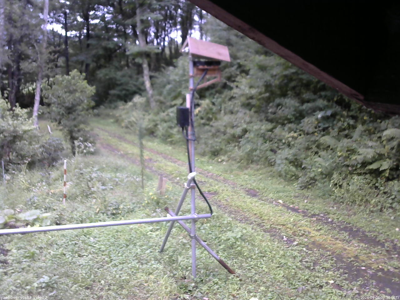 長野県菅平高原 ゆたか山荘 南側 2026/09/08 07:30