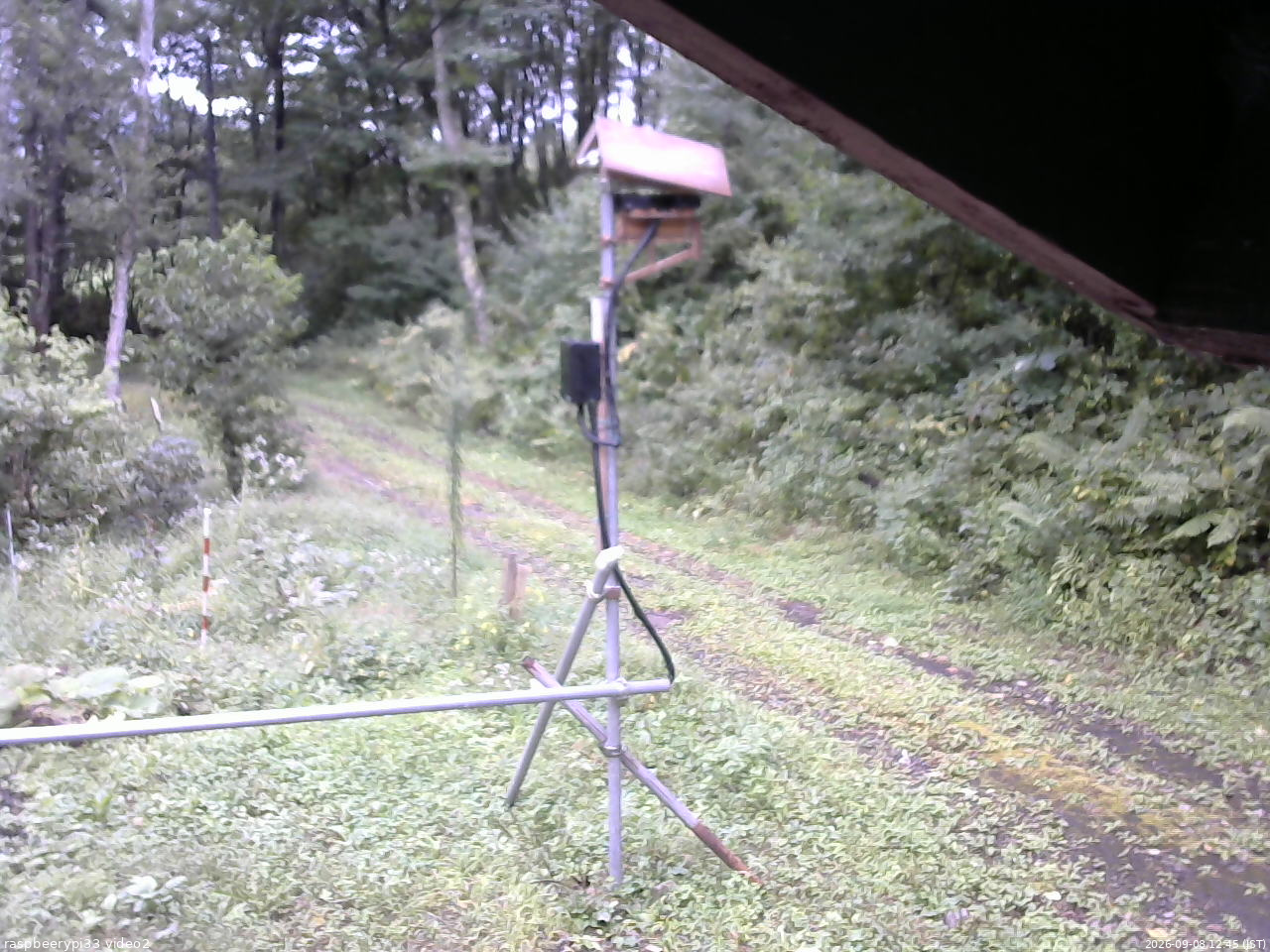 長野県菅平高原 ゆたか山荘 南側 2026/09/08 12:45