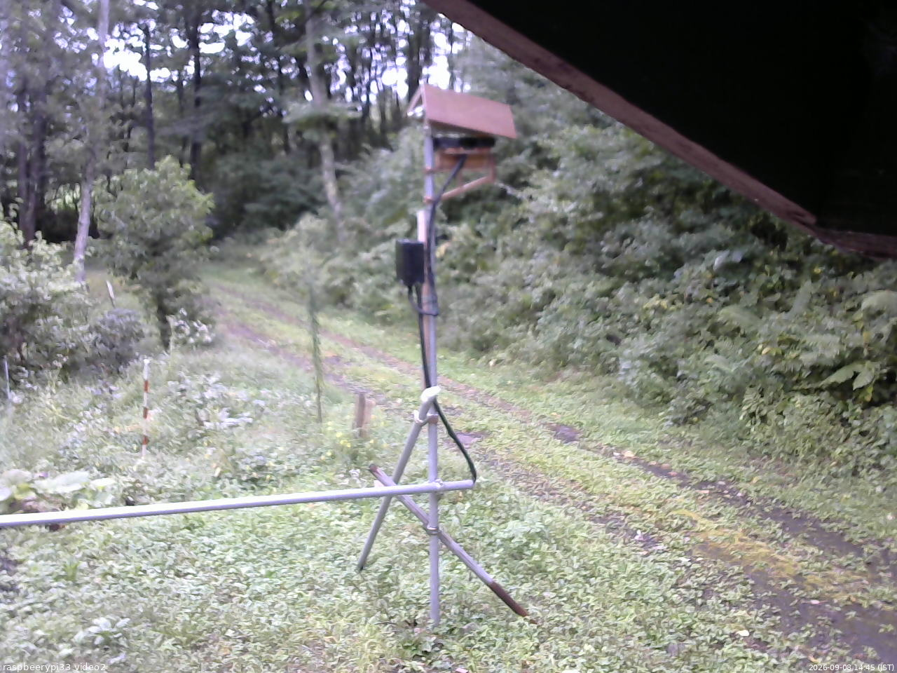 長野県菅平高原 ゆたか山荘 南側 2026/09/08 14:45