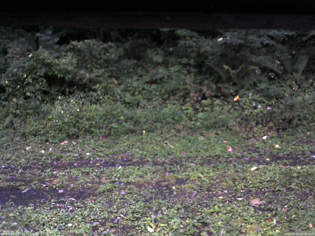 長野県菅平高原 ゆたか山荘 東側(坂下) 2026/09/08 05:30