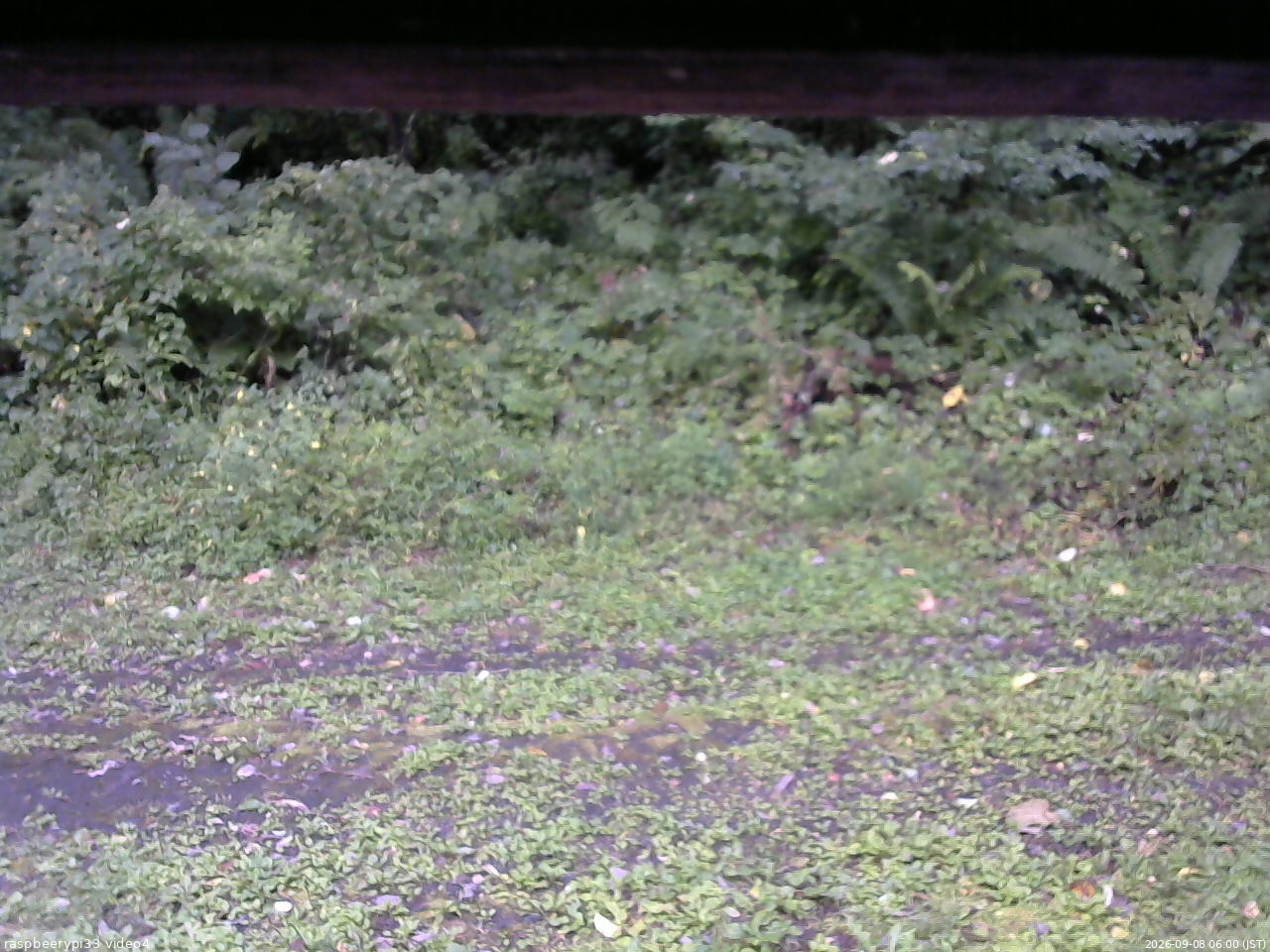 長野県菅平高原 ゆたか山荘 東側(坂下) 2026/09/08 06:00