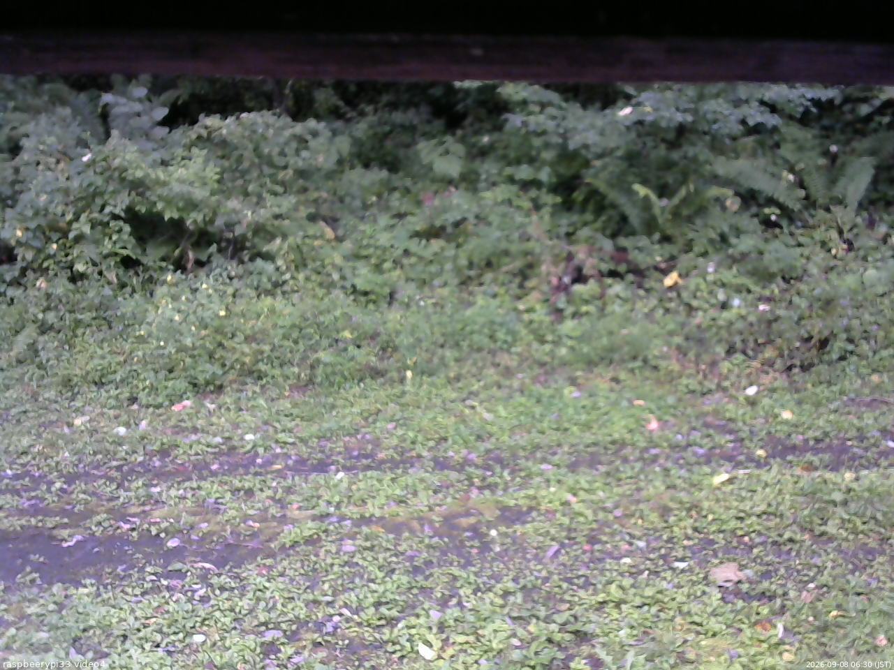 長野県菅平高原 ゆたか山荘 東側(坂下) 2026/09/08 06:30