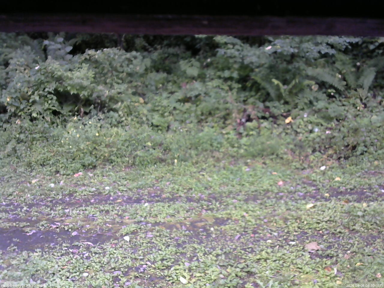 長野県菅平高原 ゆたか山荘 東側(坂下) 2026/09/08 08:30