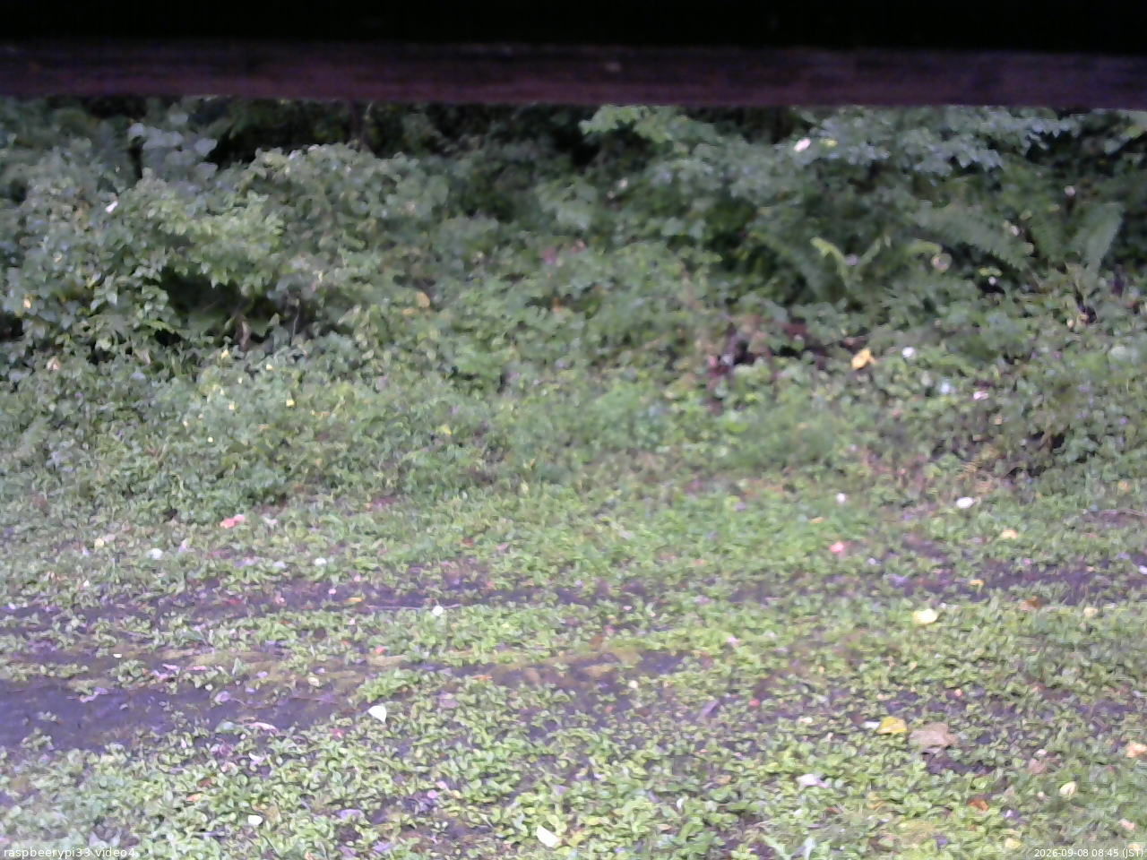 長野県菅平高原 ゆたか山荘 東側(坂下) 2026/09/08 08:45