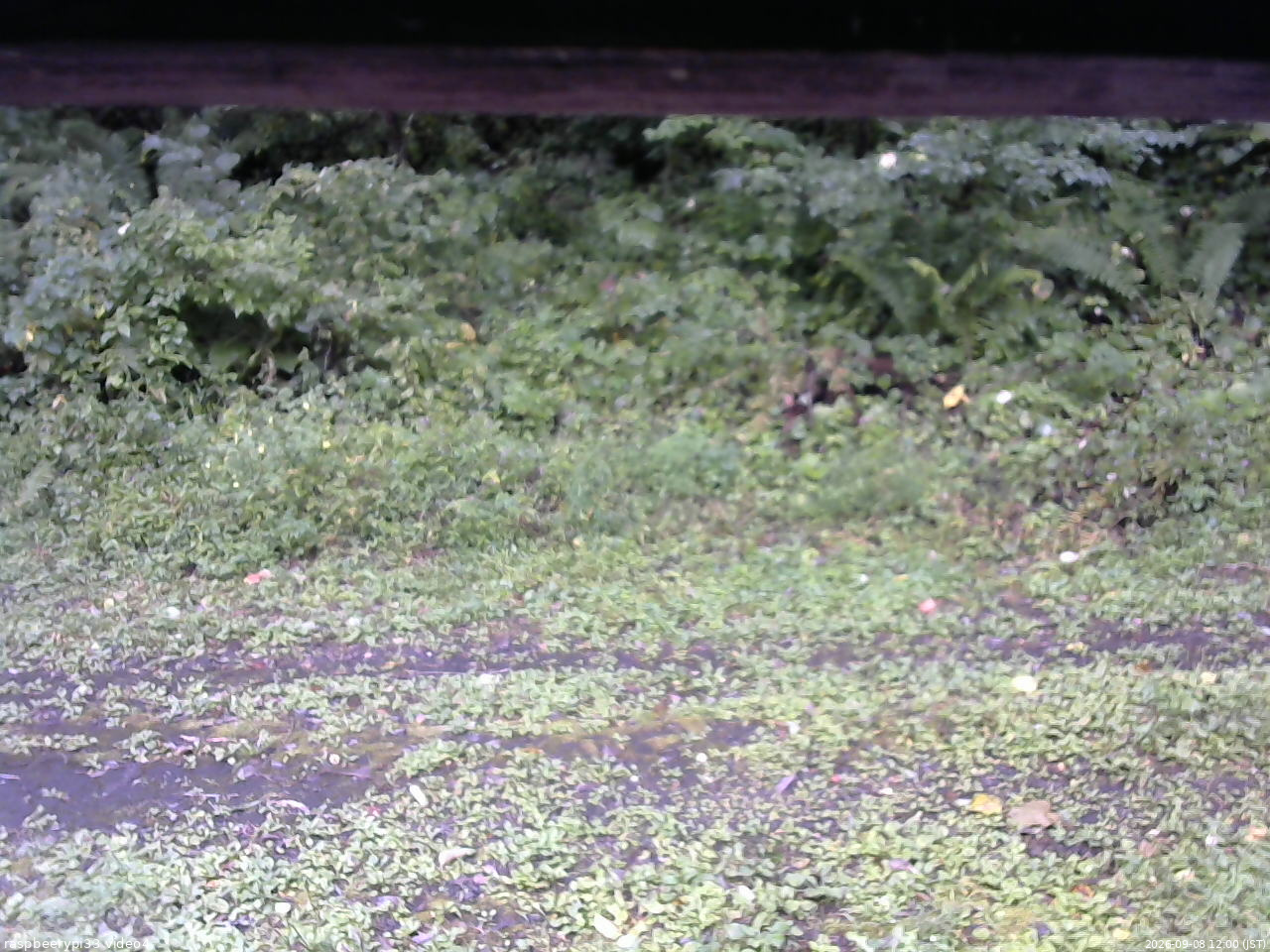 長野県菅平高原 ゆたか山荘 東側(坂下) 2026/09/08 12:00