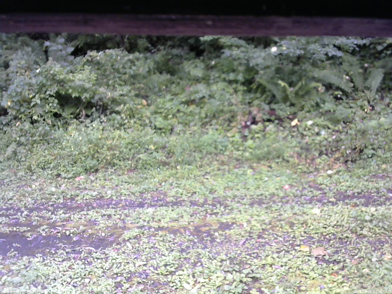 長野県菅平高原 ゆたか山荘 東側(坂下) 2026/09/08 12:30