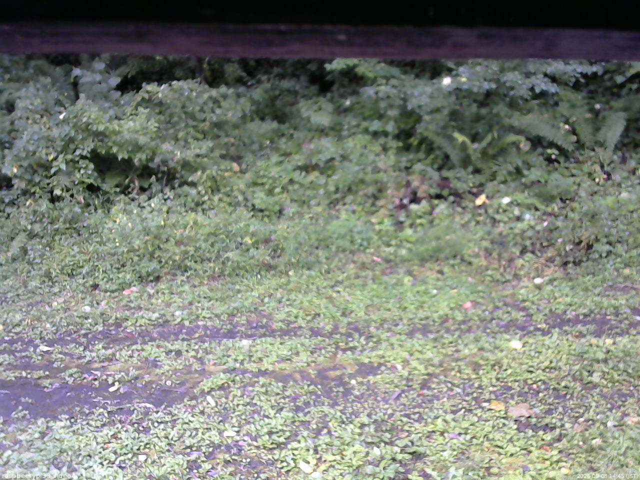 長野県菅平高原 ゆたか山荘 東側(坂下) 2026/09/08 14:45