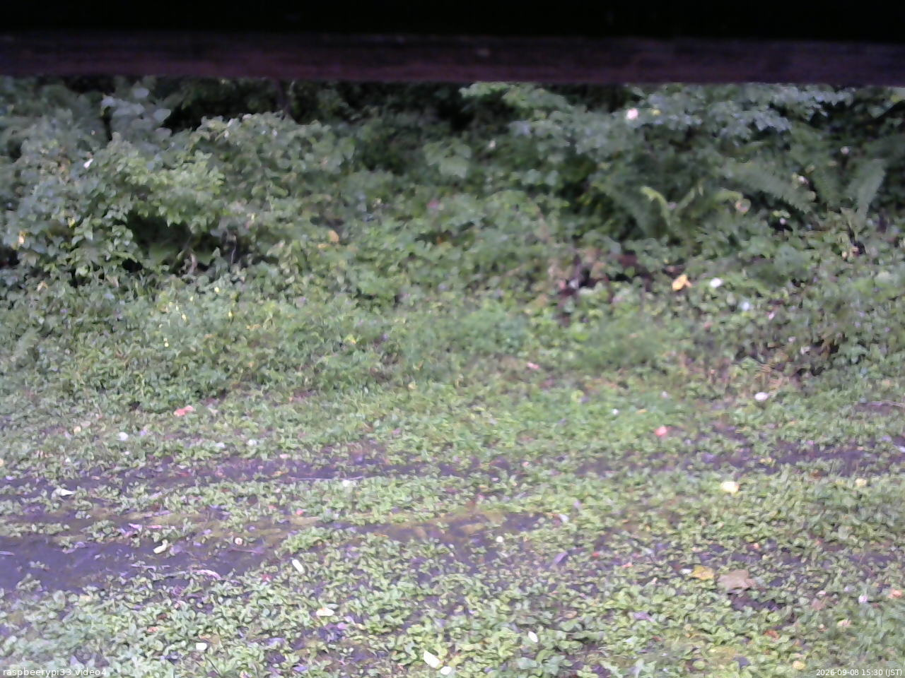 長野県菅平高原 ゆたか山荘 東側(坂下) 2026/09/08 15:30