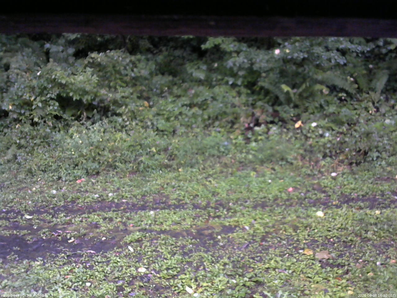 長野県菅平高原 ゆたか山荘 東側(坂下) 2026/09/08 16:30