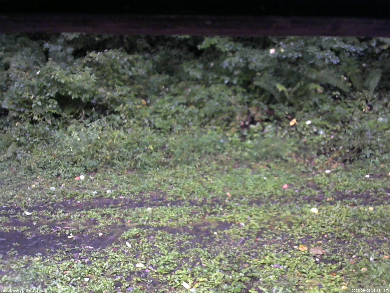 長野県菅平高原 ゆたか山荘 東側(坂下) 2026/09/08 16:45