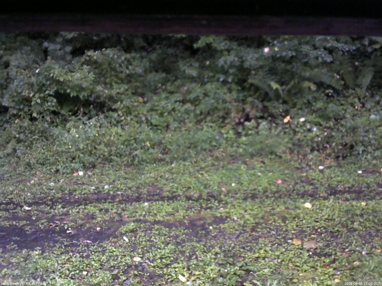 長野県菅平高原 ゆたか山荘 東側(坂下) 2026/09/08 17:00