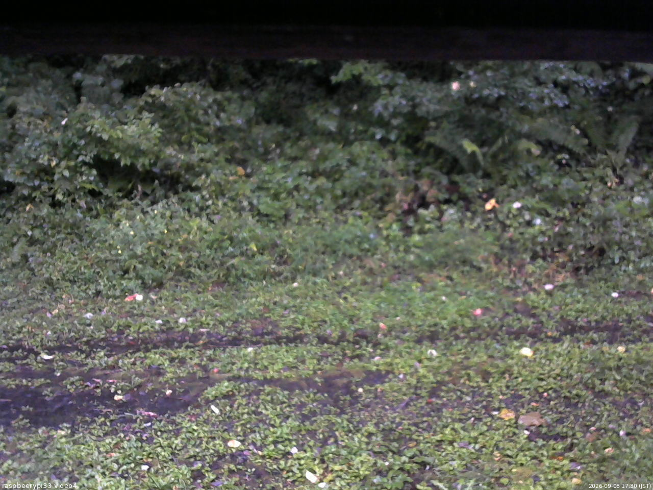 長野県菅平高原 ゆたか山荘 東側(坂下) 2026/09/08 17:30
