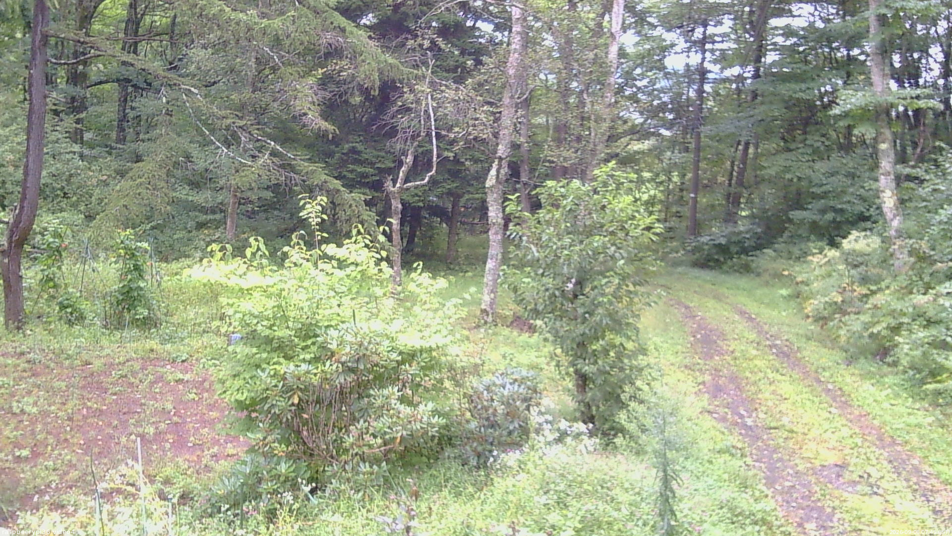 長野県菅平高原 ゆたか山荘 坂上 2026/09/08 07:45