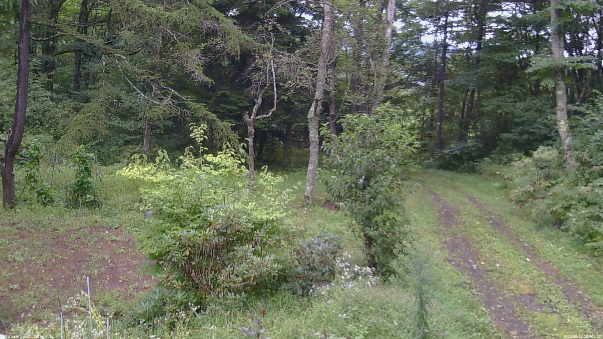 長野県菅平高原 ゆたか山荘 坂上 2026/09/08 08:00