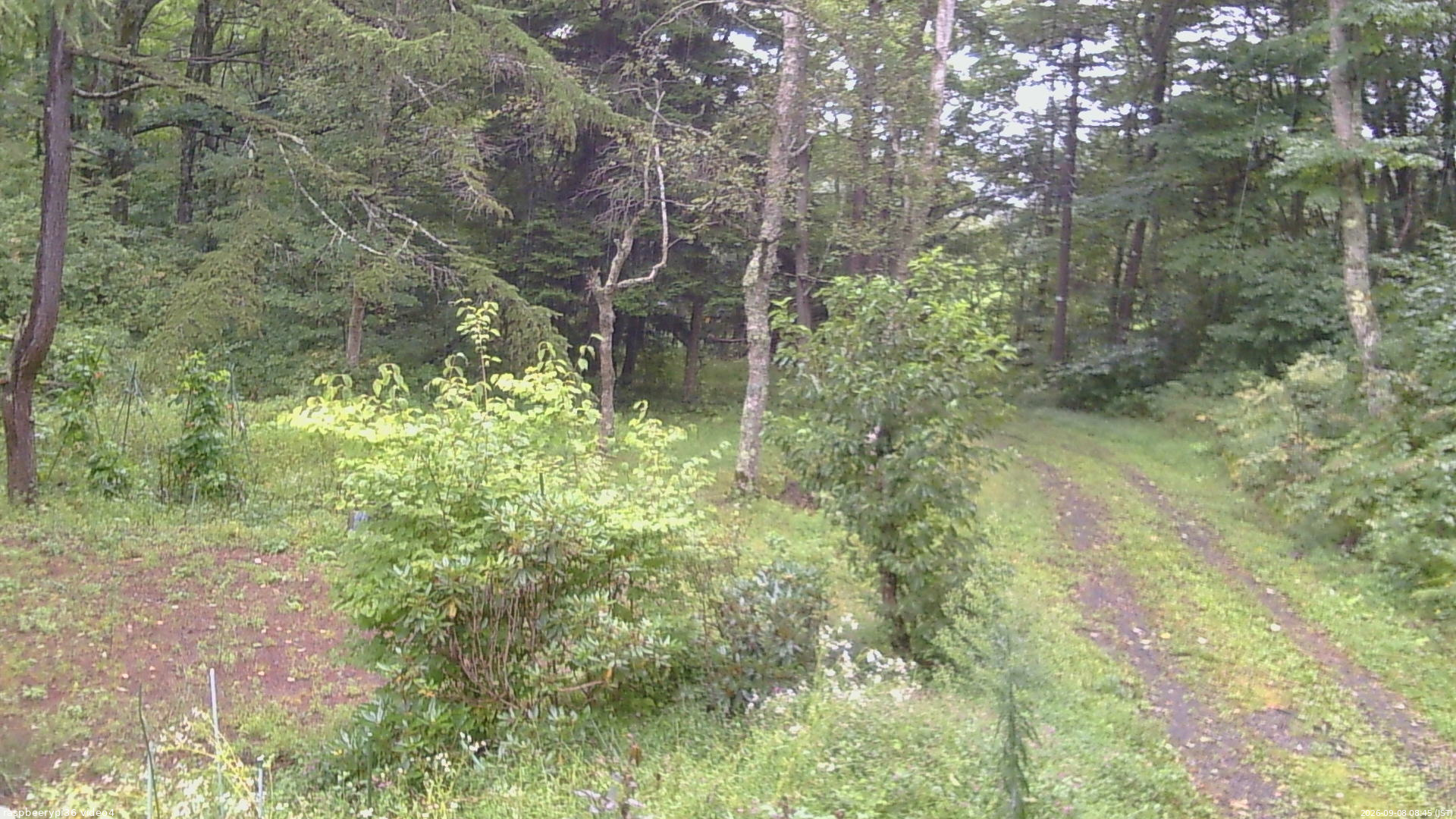 長野県菅平高原 ゆたか山荘 坂上 2026/09/08 08:45