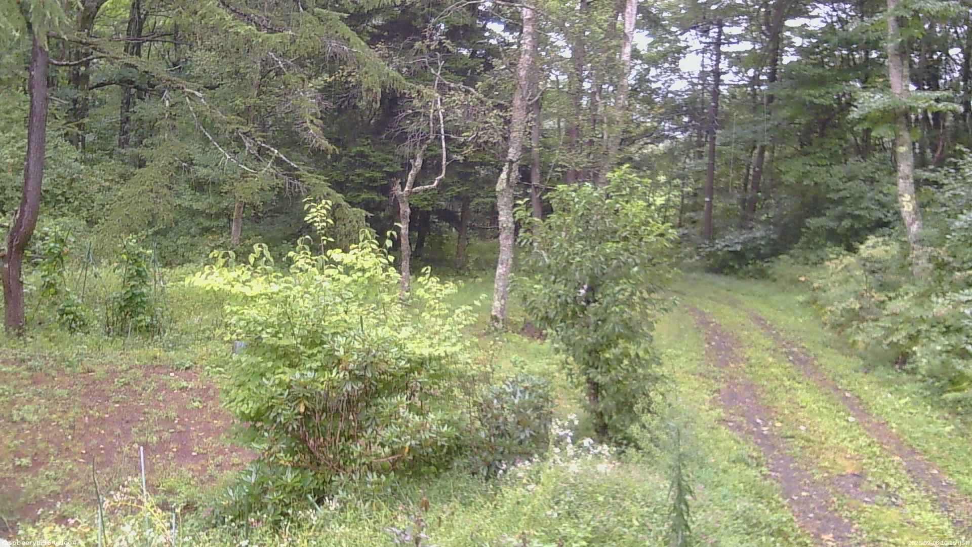 長野県菅平高原 ゆたか山荘 坂上 2026/09/08 10:15