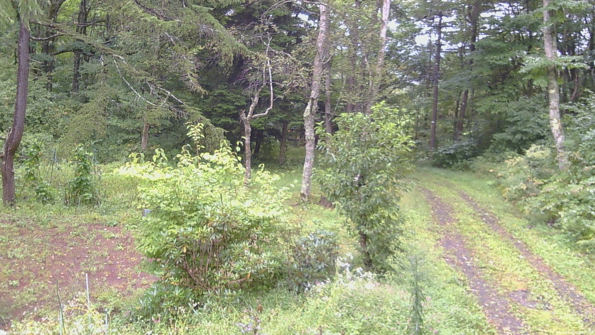 長野県菅平高原 ゆたか山荘 坂上 2026/09/08 10:30