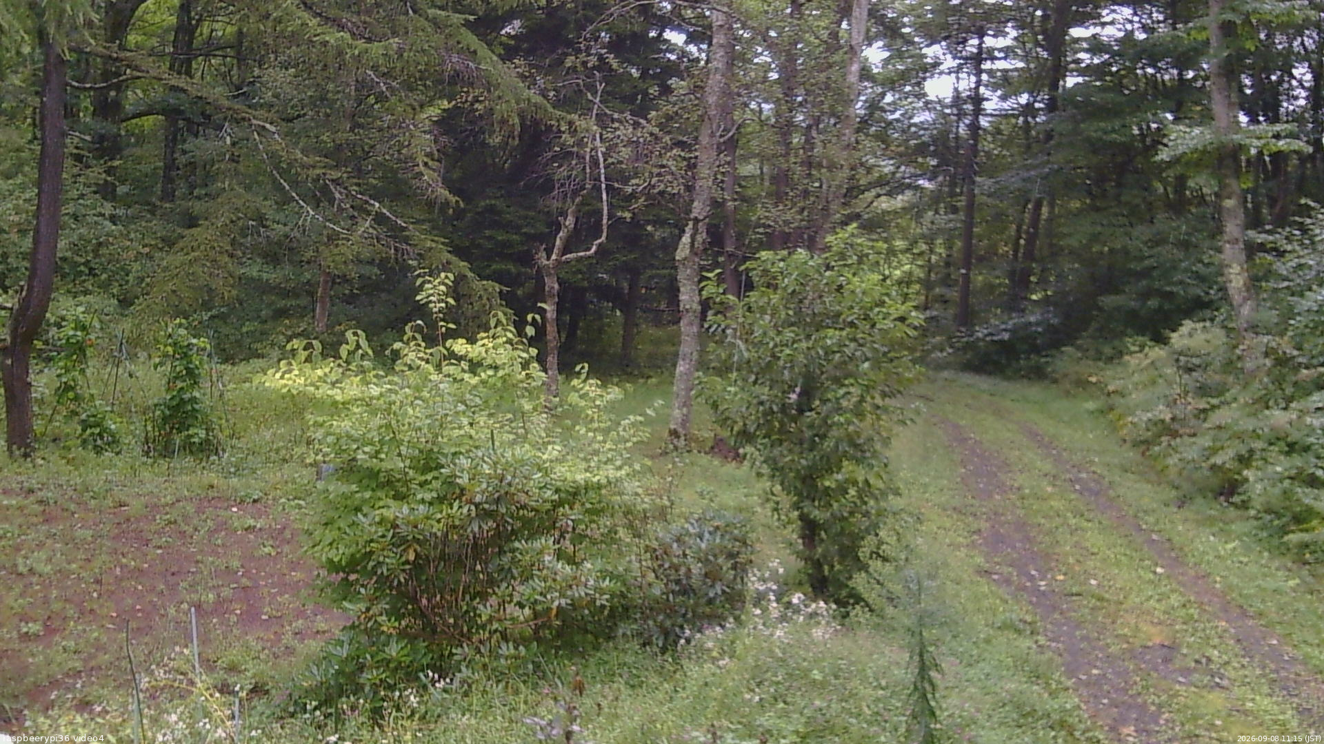 長野県菅平高原 ゆたか山荘 坂上 2026/09/08 11:15