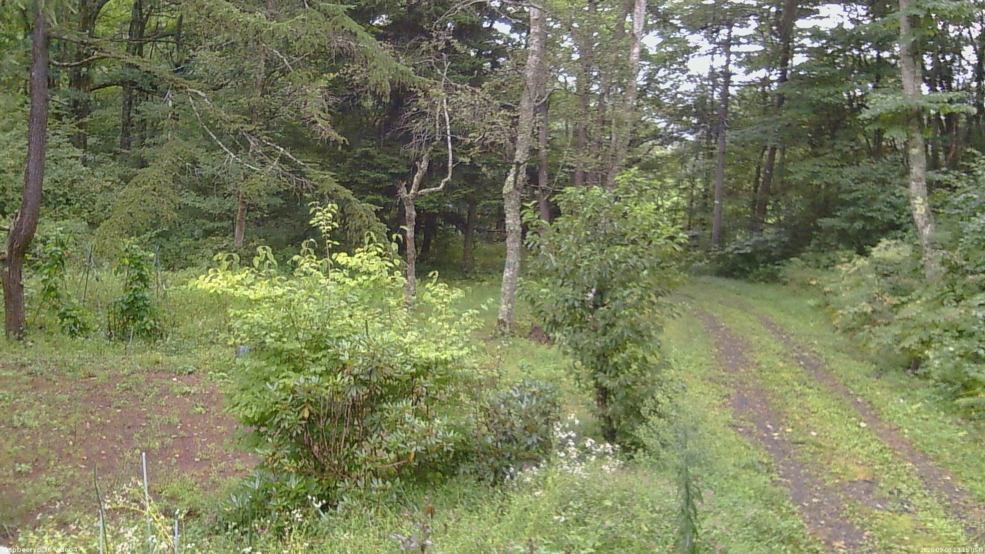 長野県菅平高原 ゆたか山荘 坂上 2026/09/08 13:15
