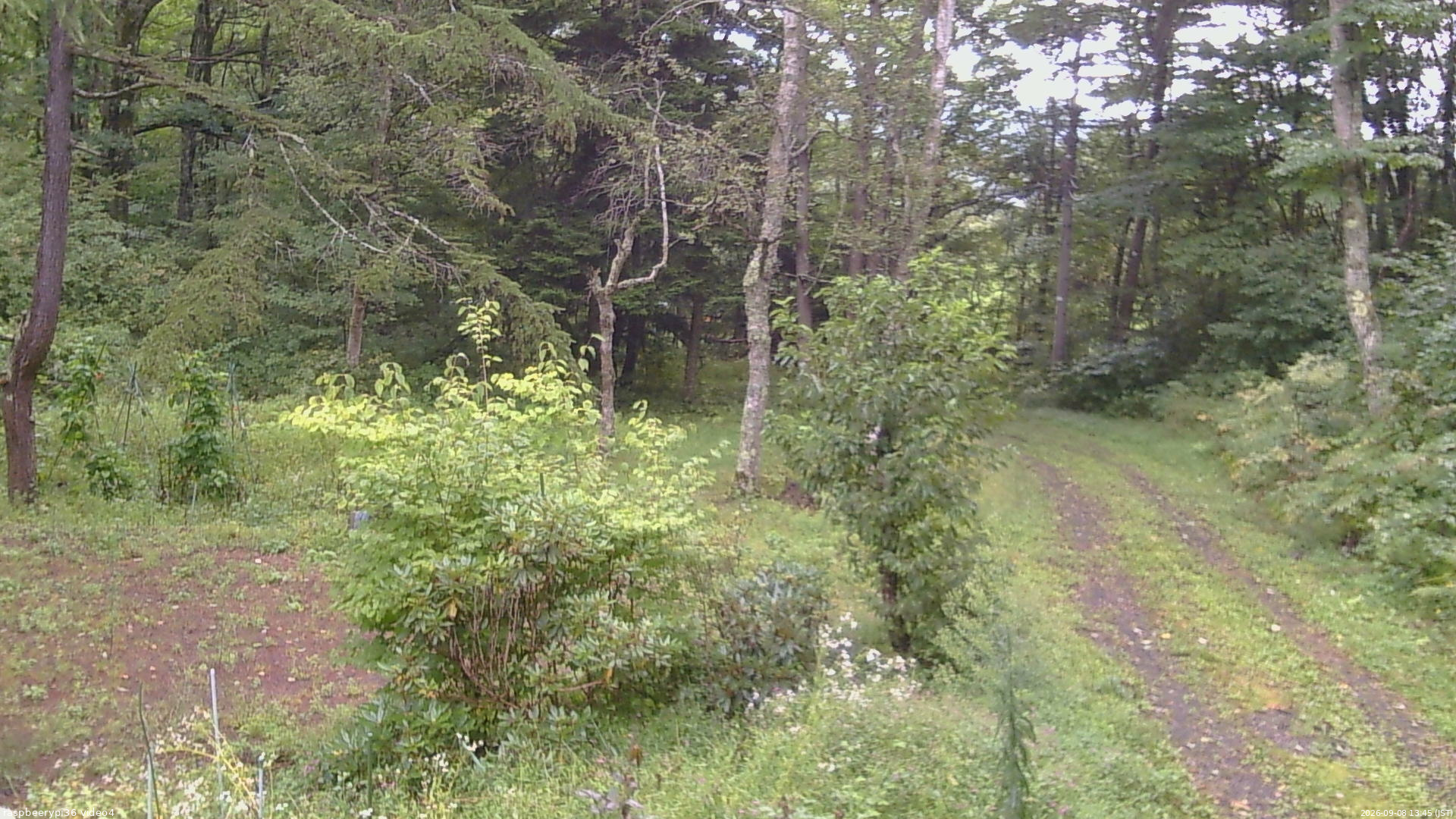 長野県菅平高原 ゆたか山荘 坂上 2026/09/08 13:45