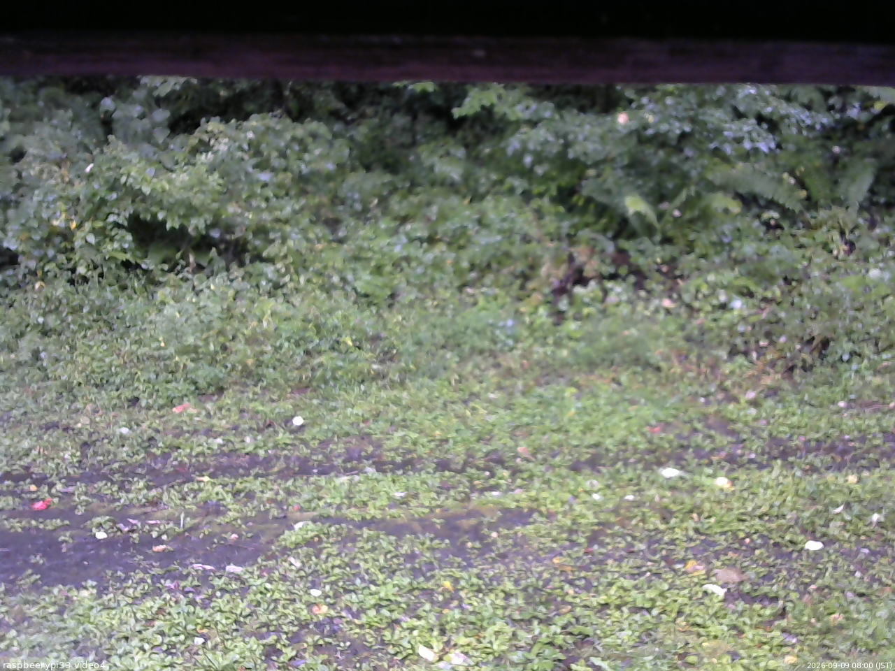 長野県菅平高原 ゆたか山荘 東側(坂下) 2026/09/09 08:00