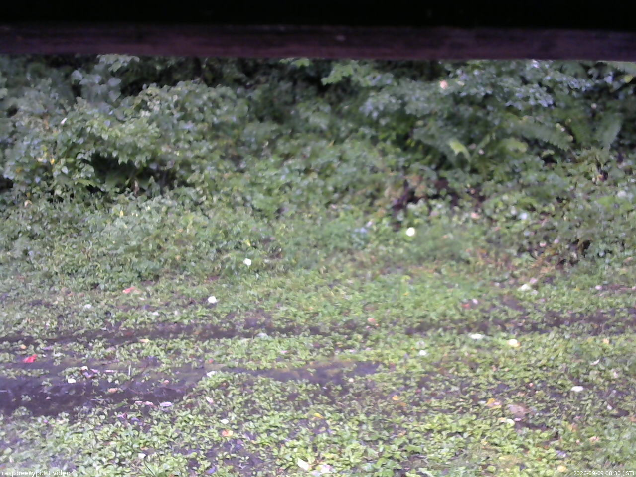 長野県菅平高原 ゆたか山荘 東側(坂下) 2026/09/09 08:30