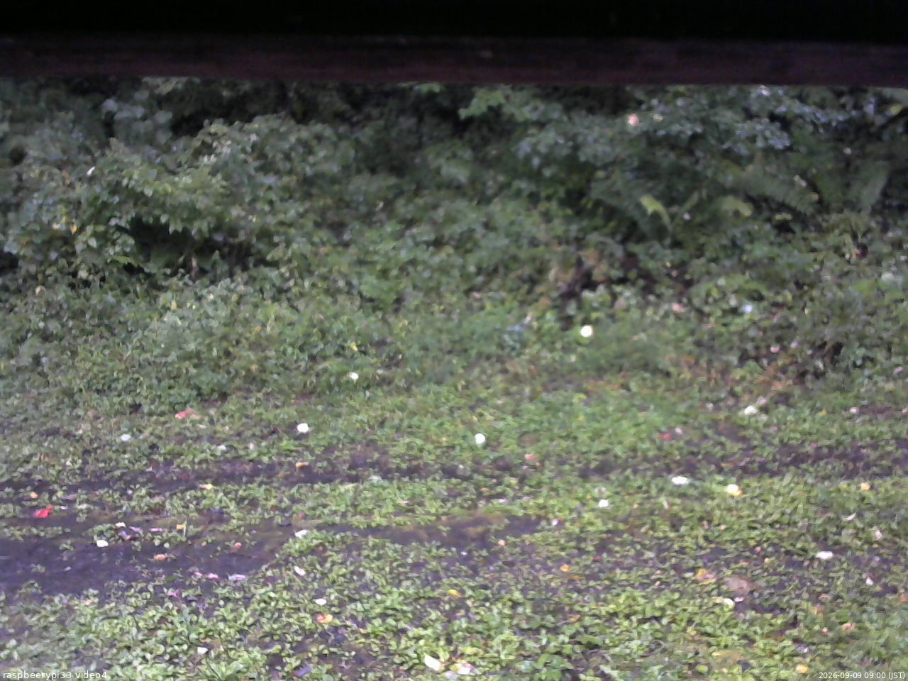 長野県菅平高原 ゆたか山荘 東側(坂下) 2026/09/09 09:00