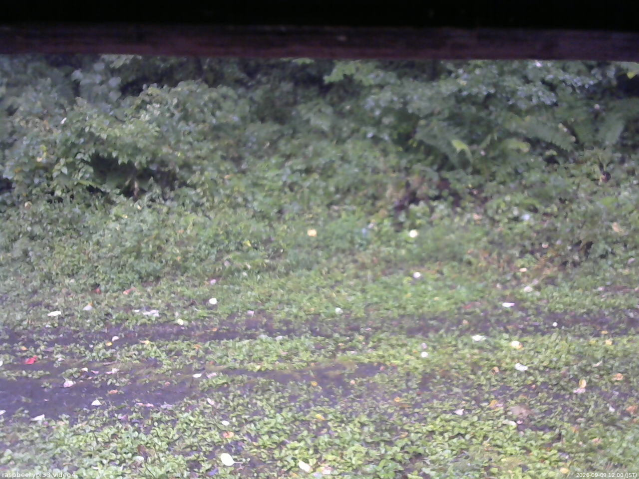 長野県菅平高原 ゆたか山荘 東側(坂下) 2026/09/09 12:00