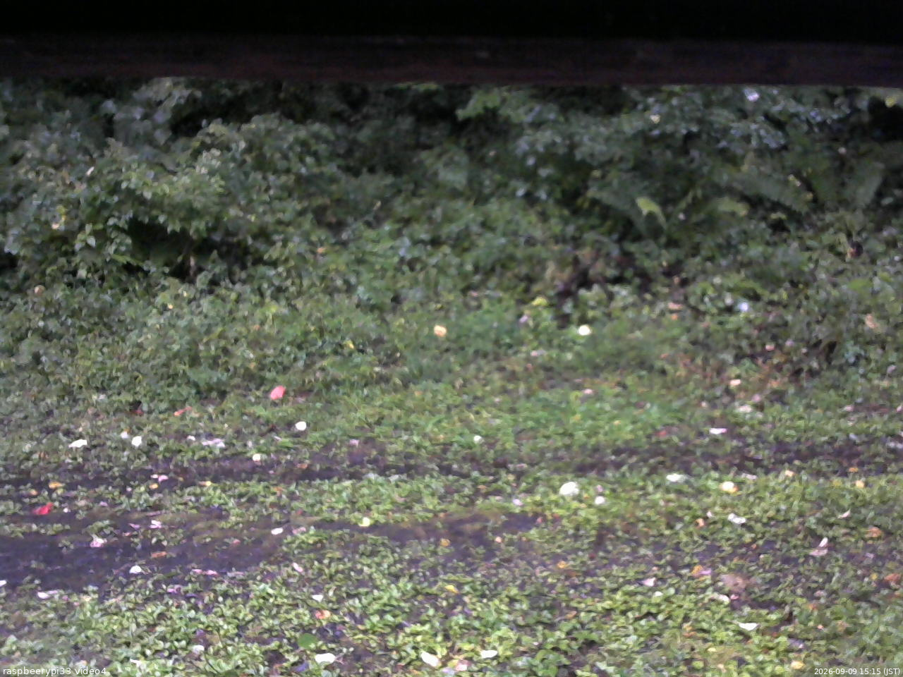 長野県菅平高原 ゆたか山荘 東側(坂下) 2026/09/09 15:15
