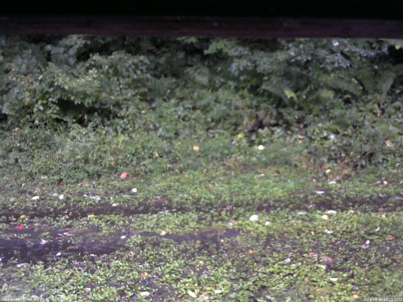 長野県菅平高原 ゆたか山荘 東側(坂下) 2026/09/09 16:15
