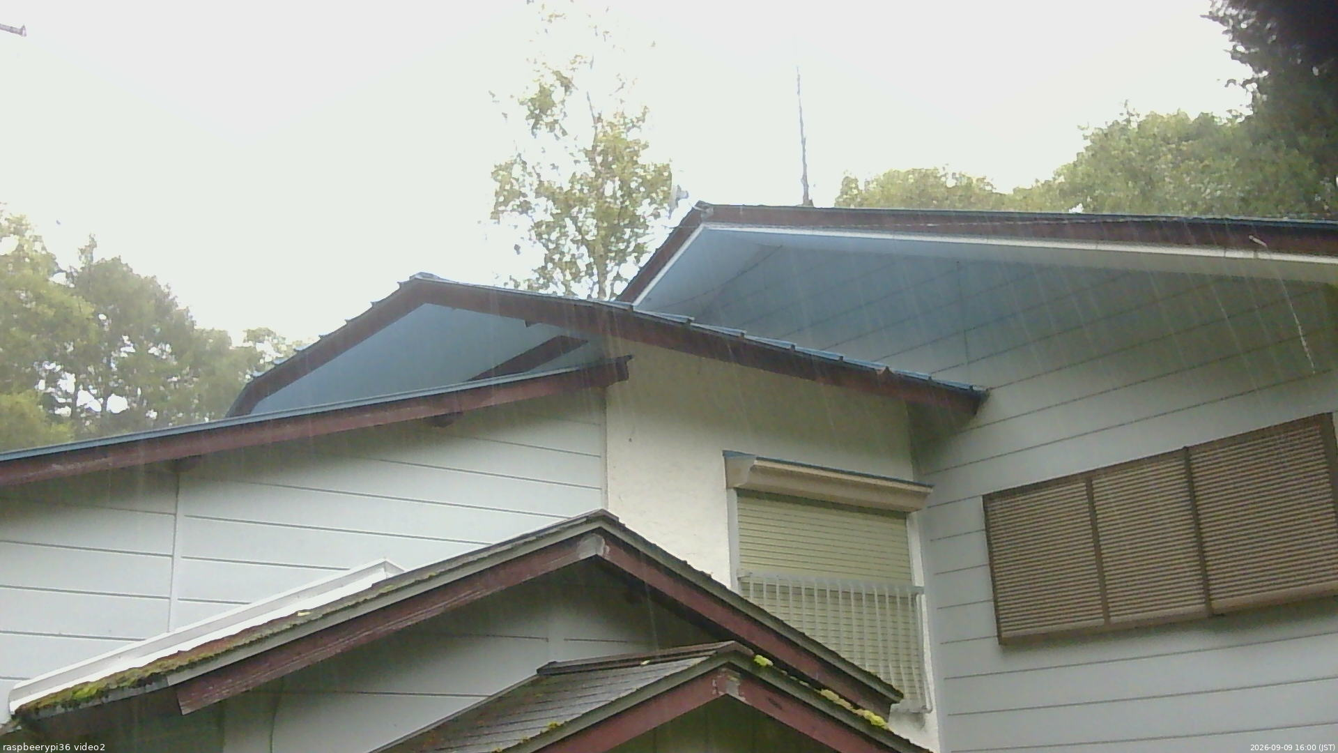 長野県菅平高原 ゆたか山荘 駐車場奥 2026/09/09 16:00