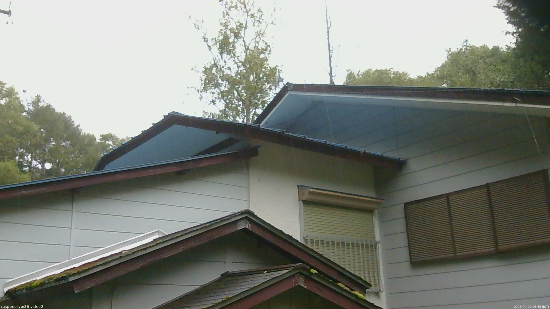 長野県菅平高原 ゆたか山荘 駐車場奥 2026/09/09 16:45