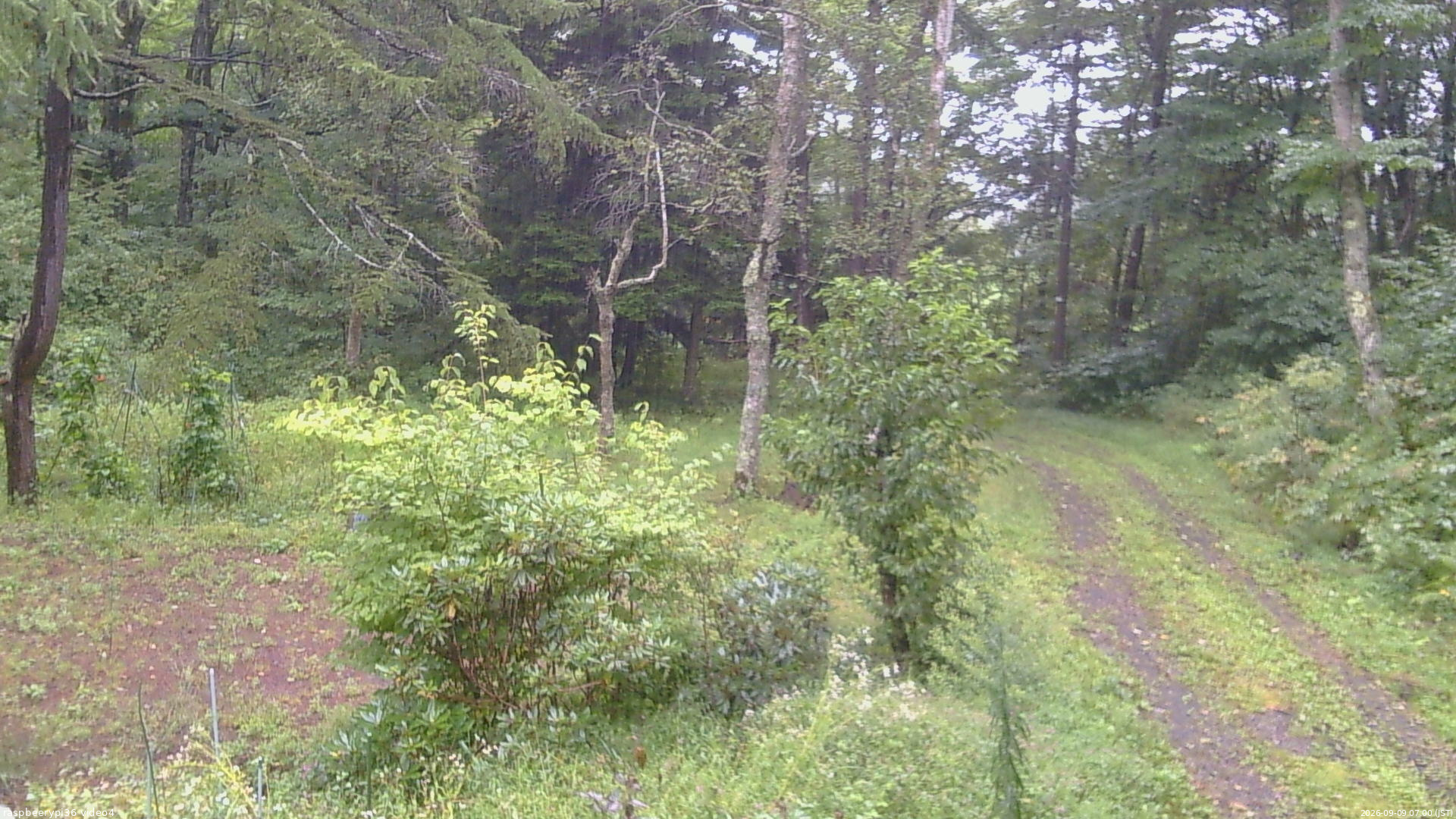 長野県菅平高原 ゆたか山荘 坂上 2026/09/09 07:00