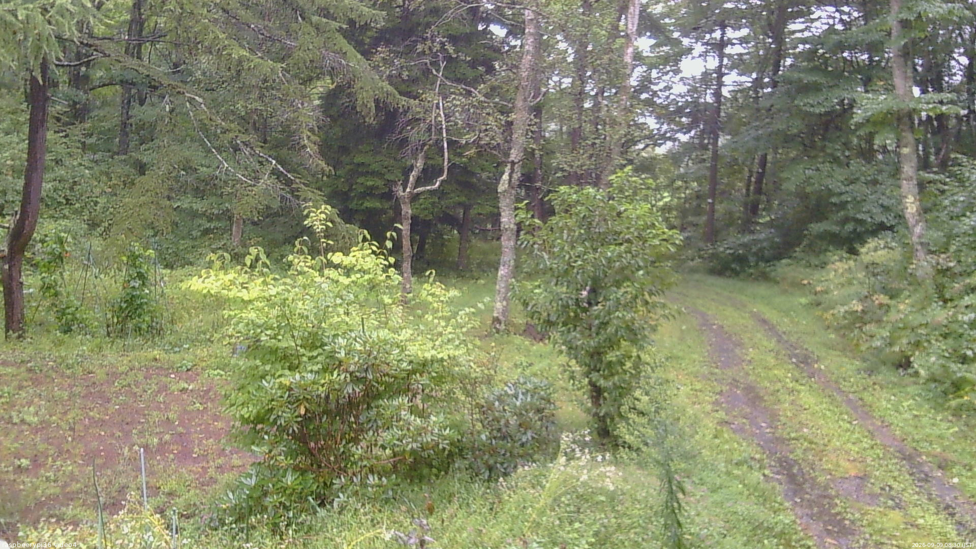 長野県菅平高原 ゆたか山荘 坂上 2026/09/09 08:30