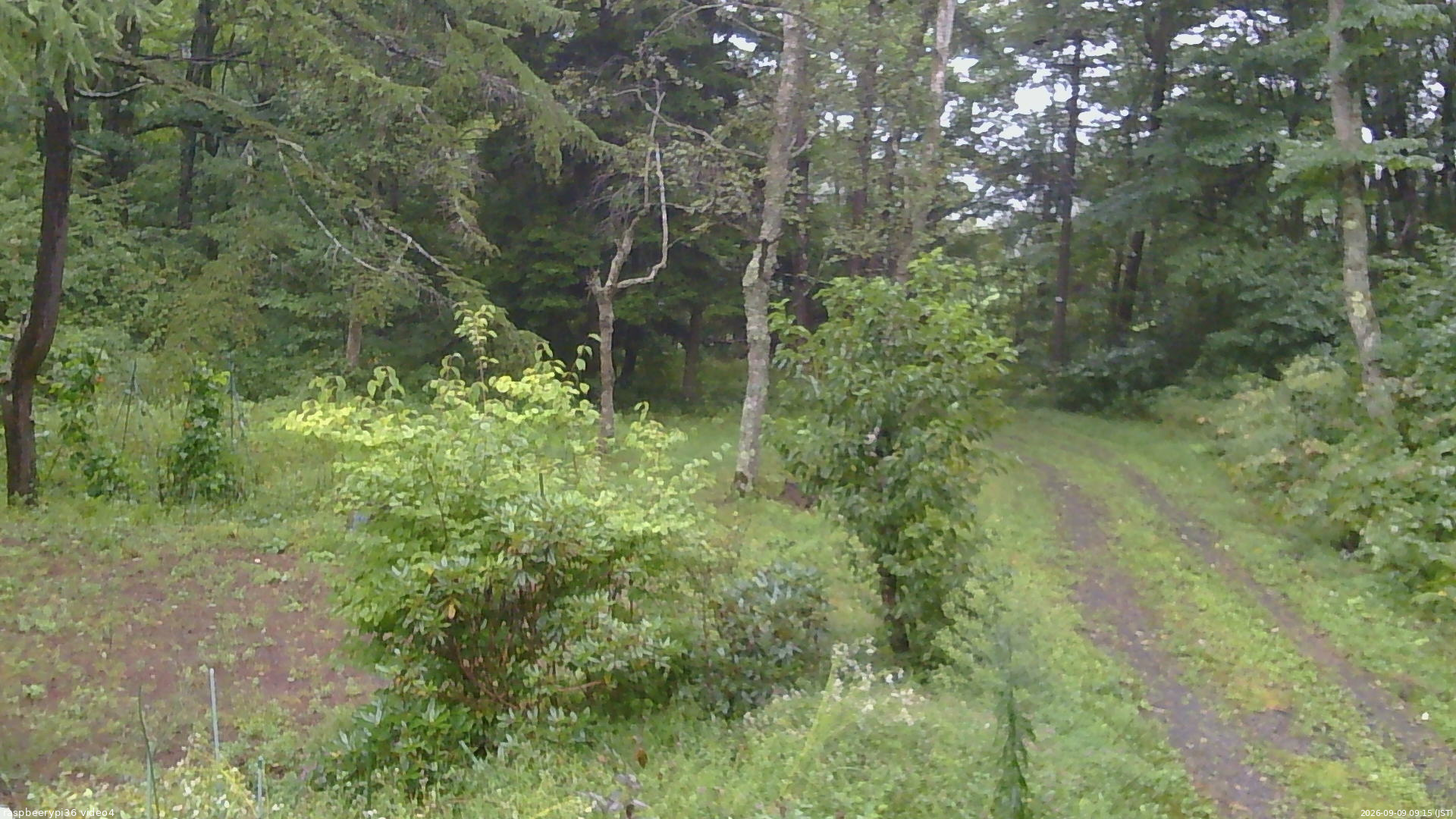 長野県菅平高原 ゆたか山荘 坂上 2026/09/09 09:15