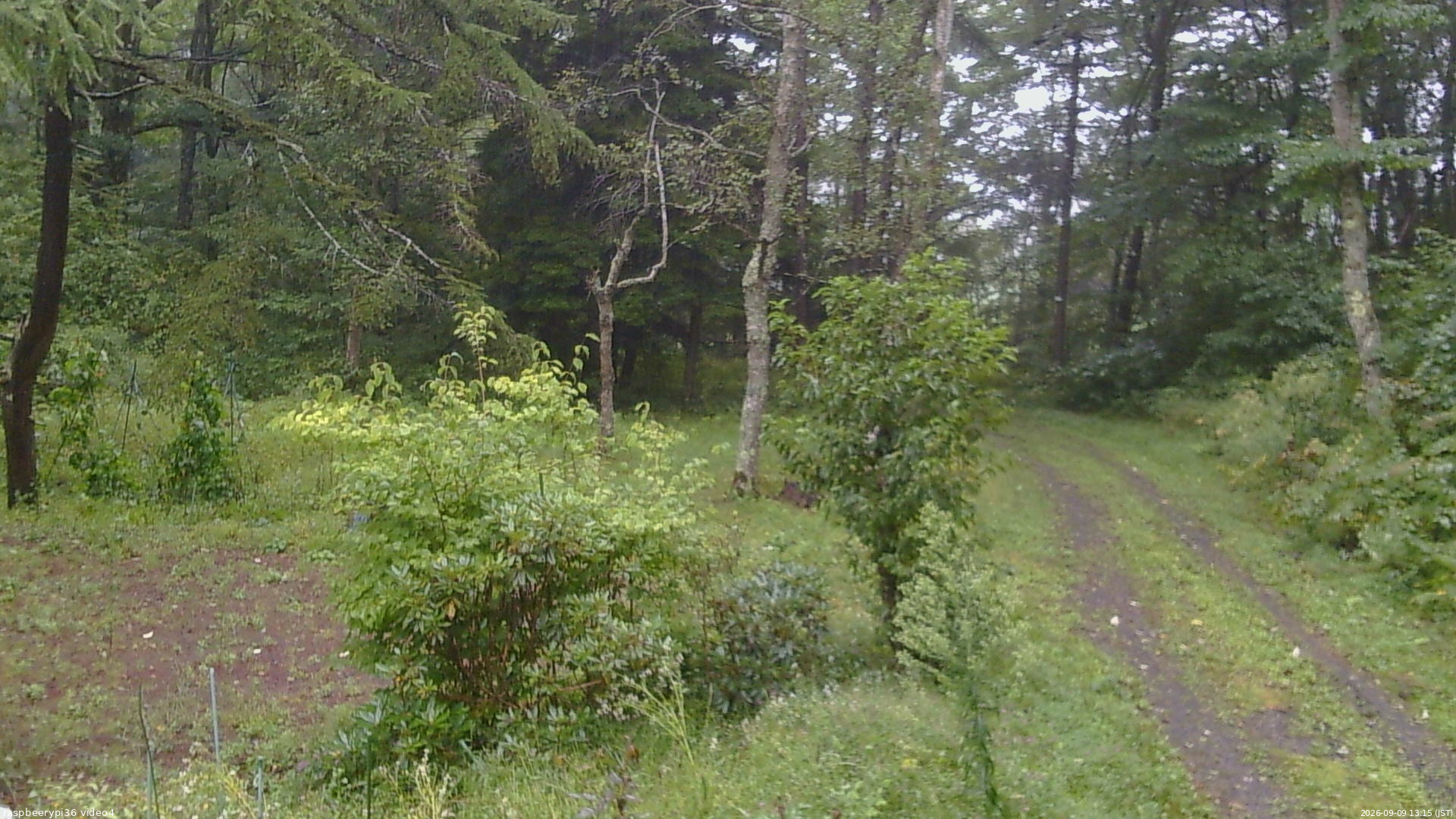 長野県菅平高原 ゆたか山荘 坂上 2026/09/09 13:15