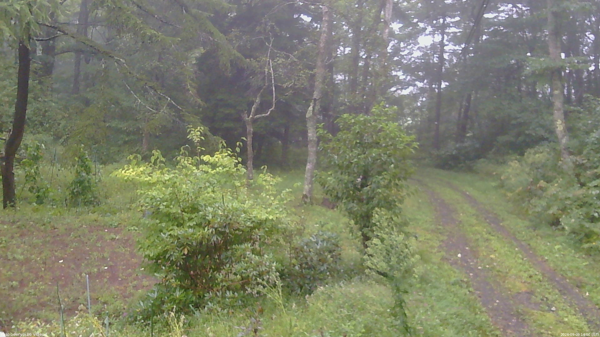 長野県菅平高原 ゆたか山荘 坂上 2026/09/09 14:00