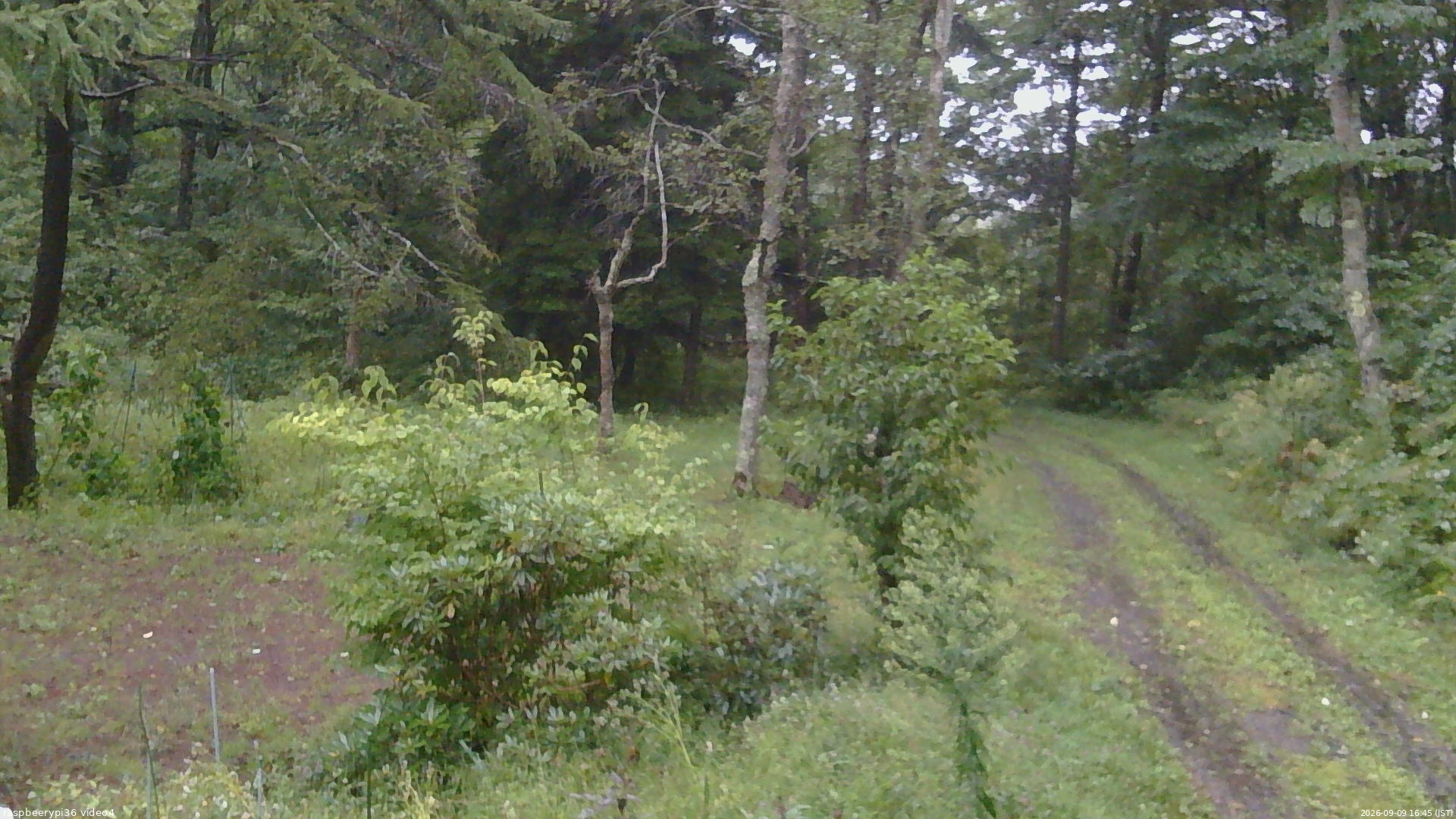 長野県菅平高原 ゆたか山荘 坂上 2026/09/09 16:45