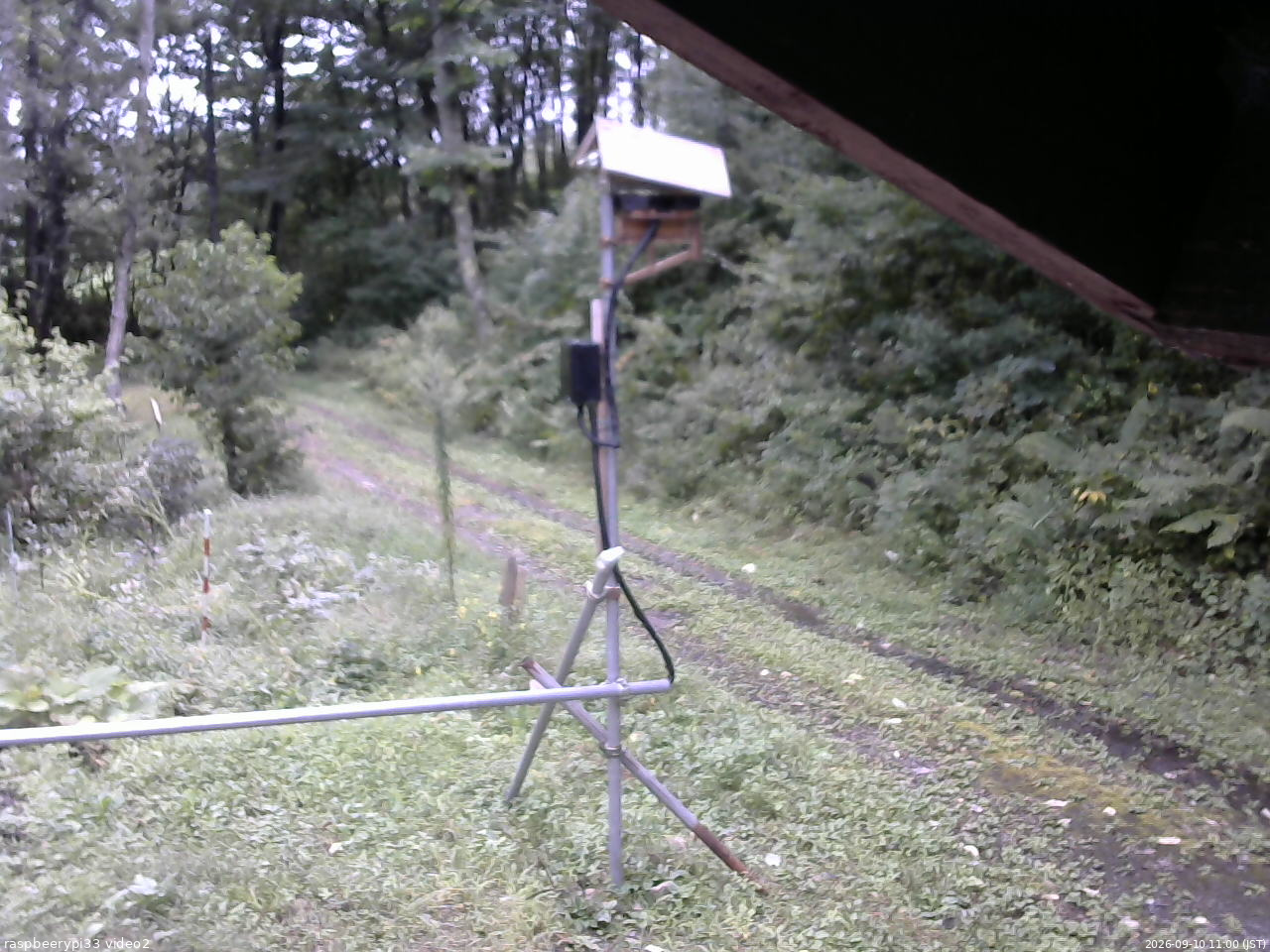 長野県菅平高原 ゆたか山荘 南側 2026/09/10 11:00