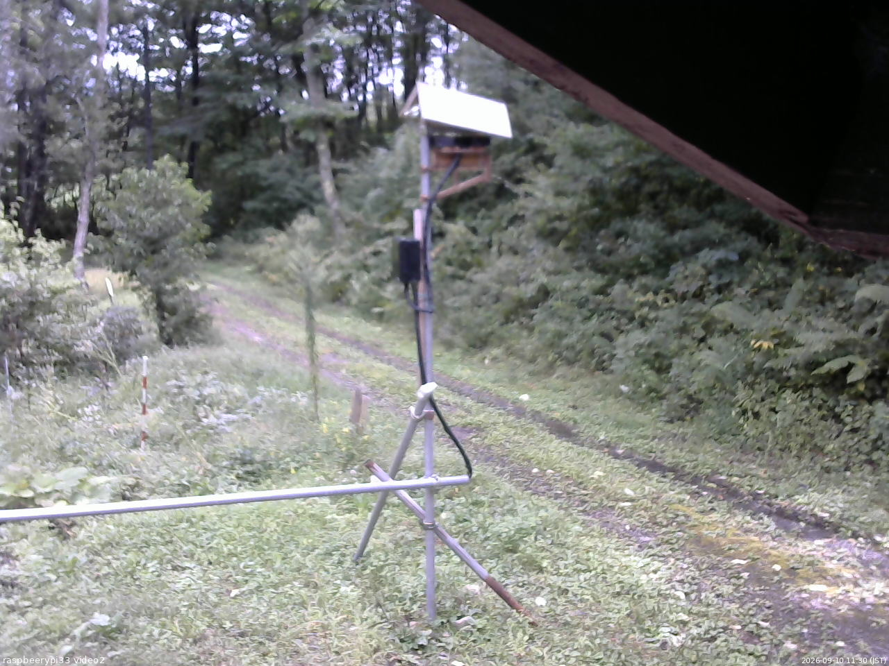 長野県菅平高原 ゆたか山荘 南側 2026/09/10 11:30