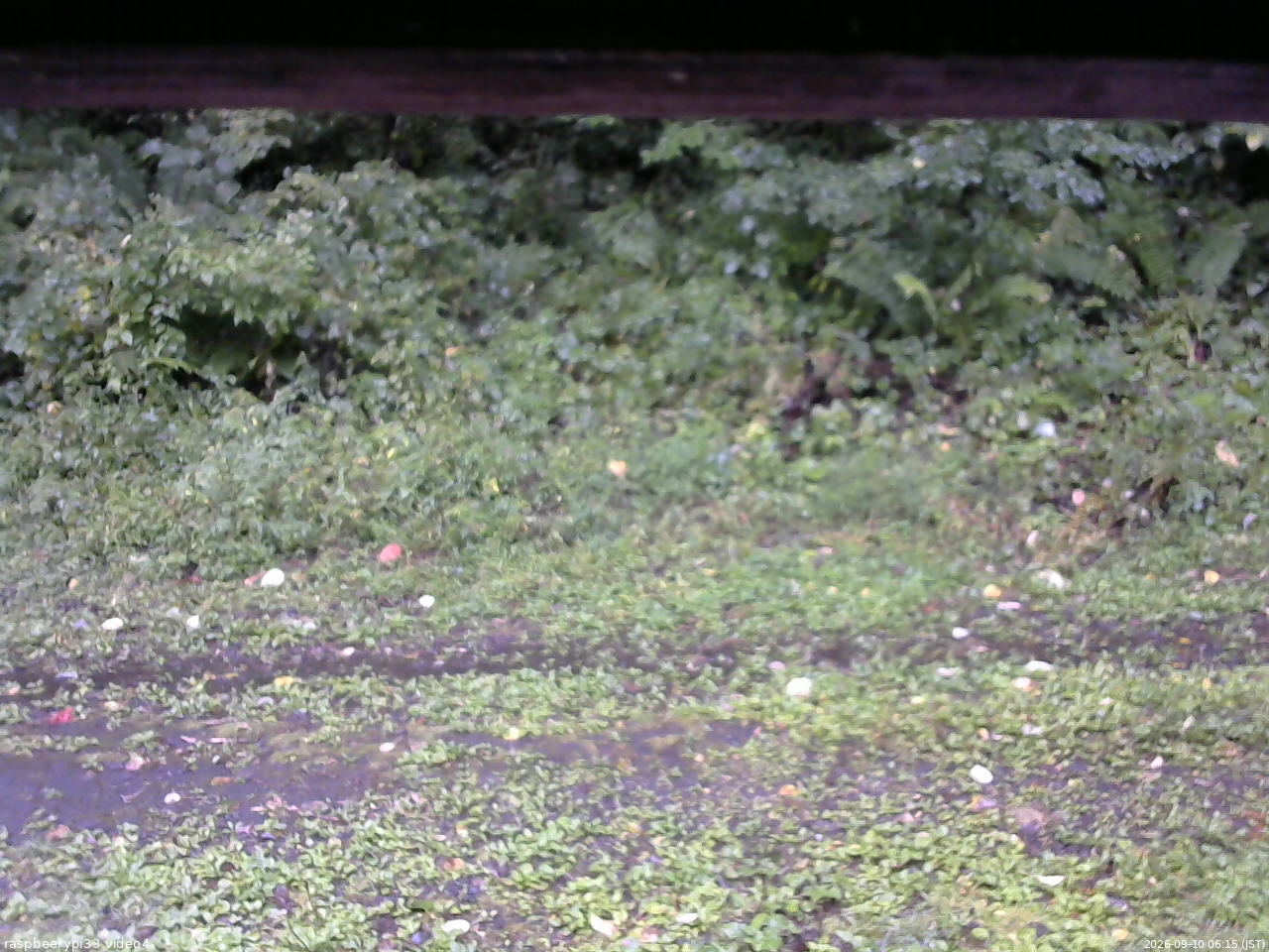 長野県菅平高原 ゆたか山荘 東側(坂下) 2026/09/10 06:15
