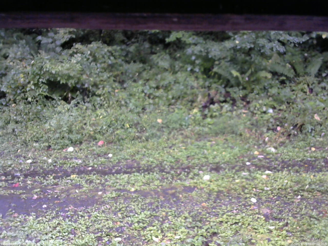 長野県菅平高原 ゆたか山荘 東側(坂下) 2026/09/10 07:00