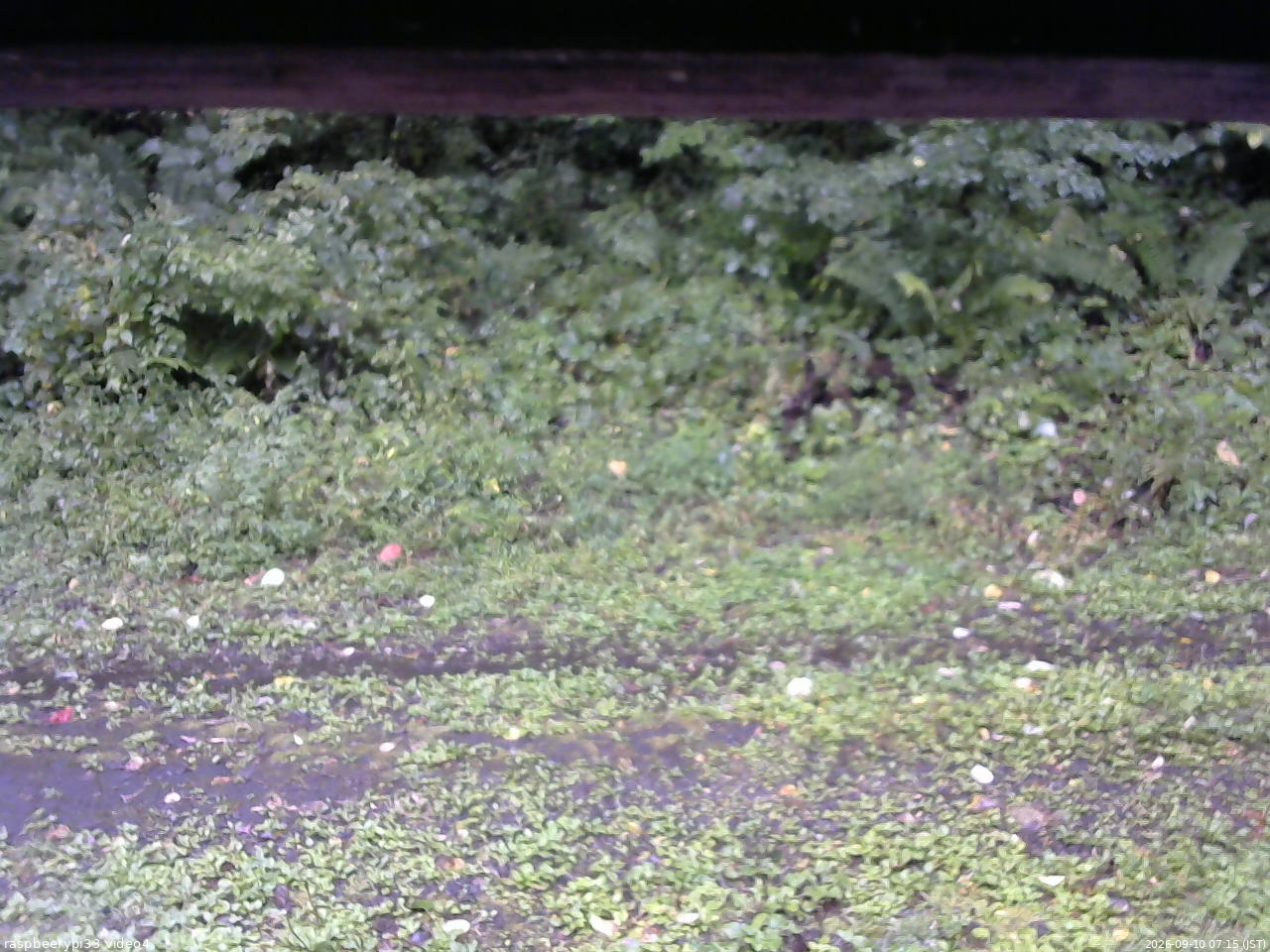 長野県菅平高原 ゆたか山荘 東側(坂下) 2026/09/10 07:15