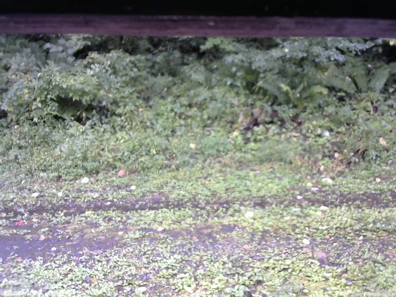 長野県菅平高原 ゆたか山荘 東側(坂下) 2026/09/10 08:00