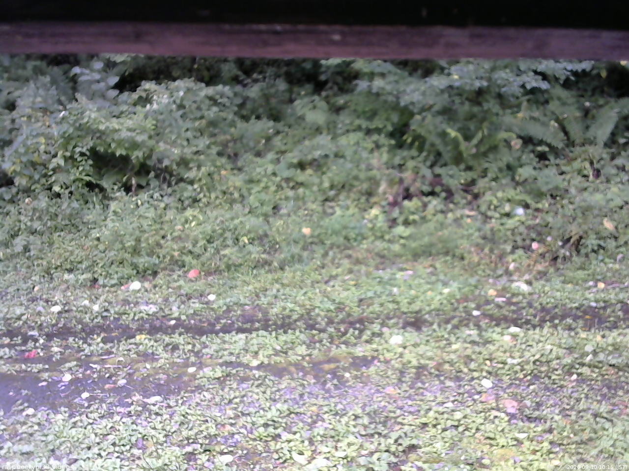 長野県菅平高原 ゆたか山荘 東側(坂下) 2026/09/10 10:15